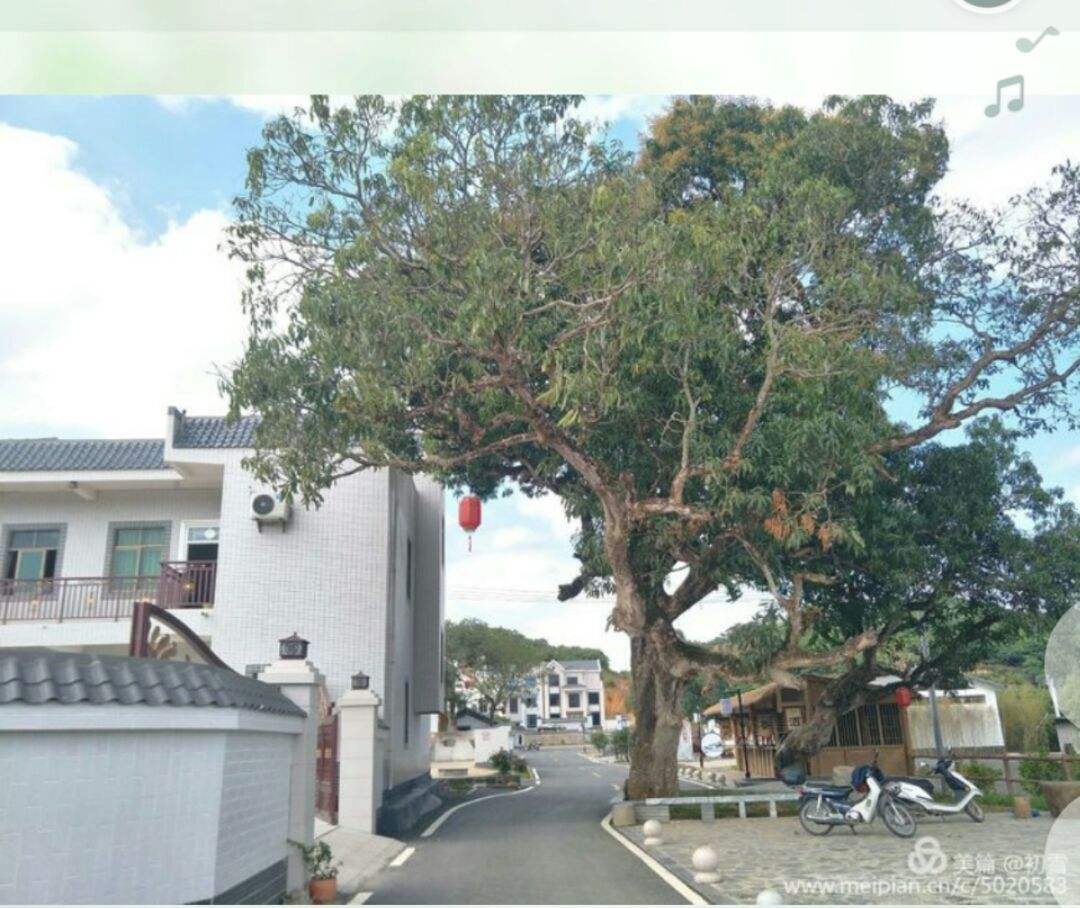 包含特色农村篮球运动示范点不断扩大,推动基层体育健康发展的词条 包含特色农村篮球运动示范点不断扩大,推动基层体育健康发展的词条