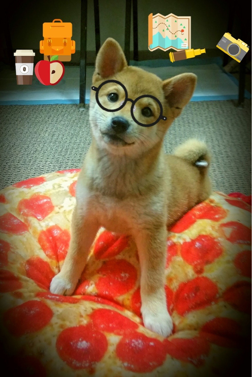 乐鱼官网-_传统赛事焕新颜：经典场地带来新颖体验_，赛事活动宣传