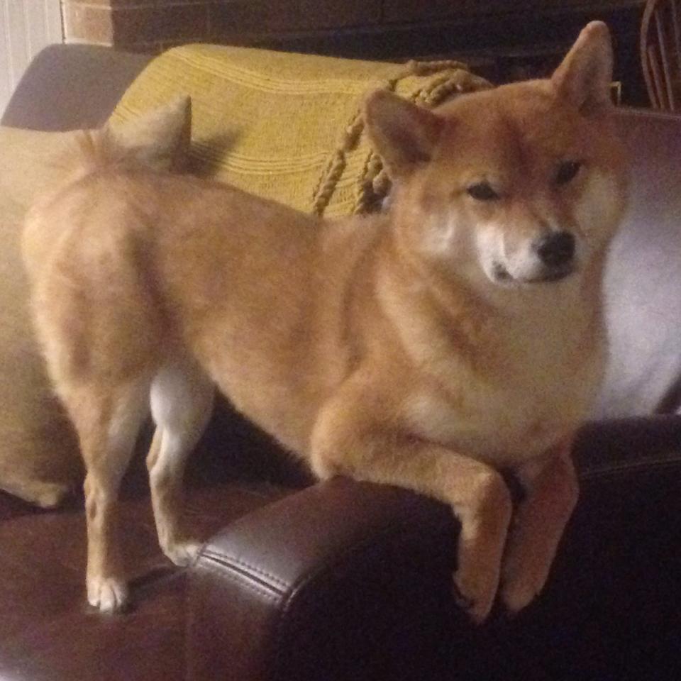 _海滩度假赛:阳光、沙滩与运动的完美结合_,阳光海边沙滩视频