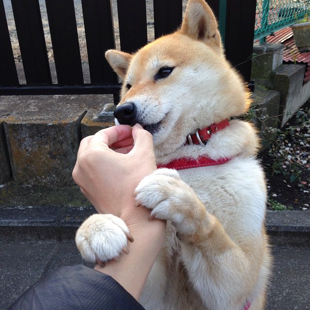 下载乐鱼体育APP-“科技创新引领棒球运动迎来新的标准与规范”，棒球专项训练