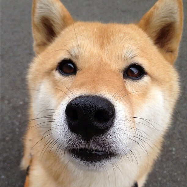 “科技创新引领棒球运动迎来新的标准与规范”,棒球专项训练