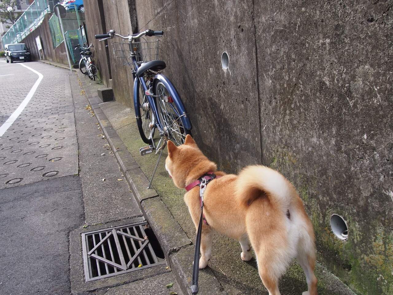 LeyuSports-“科技破浪：自动驾驶惊艳赛场未来”，自动驾驶巨头迎突破性进展