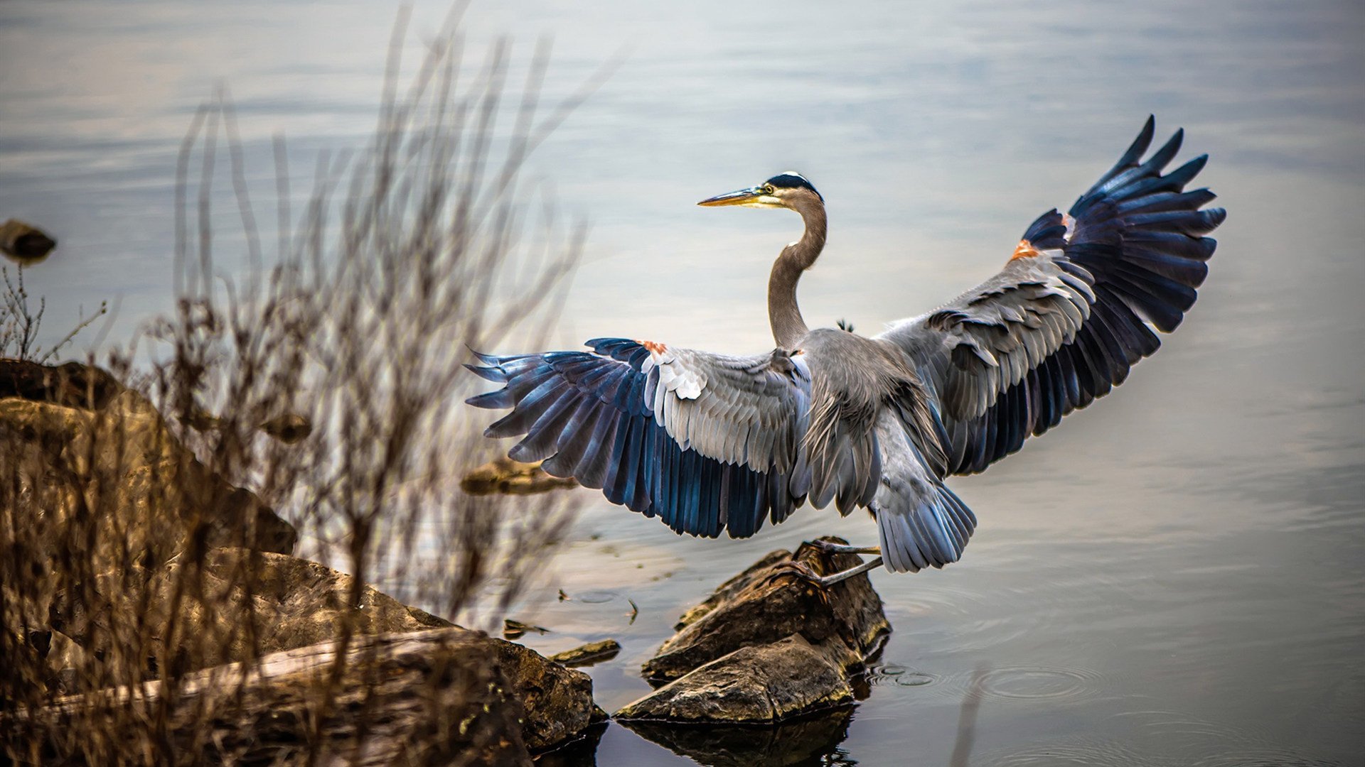 乐鱼体育平台官网-“科技突破：人工智能助力赛场革新”，科技创新人工智能大赛作品