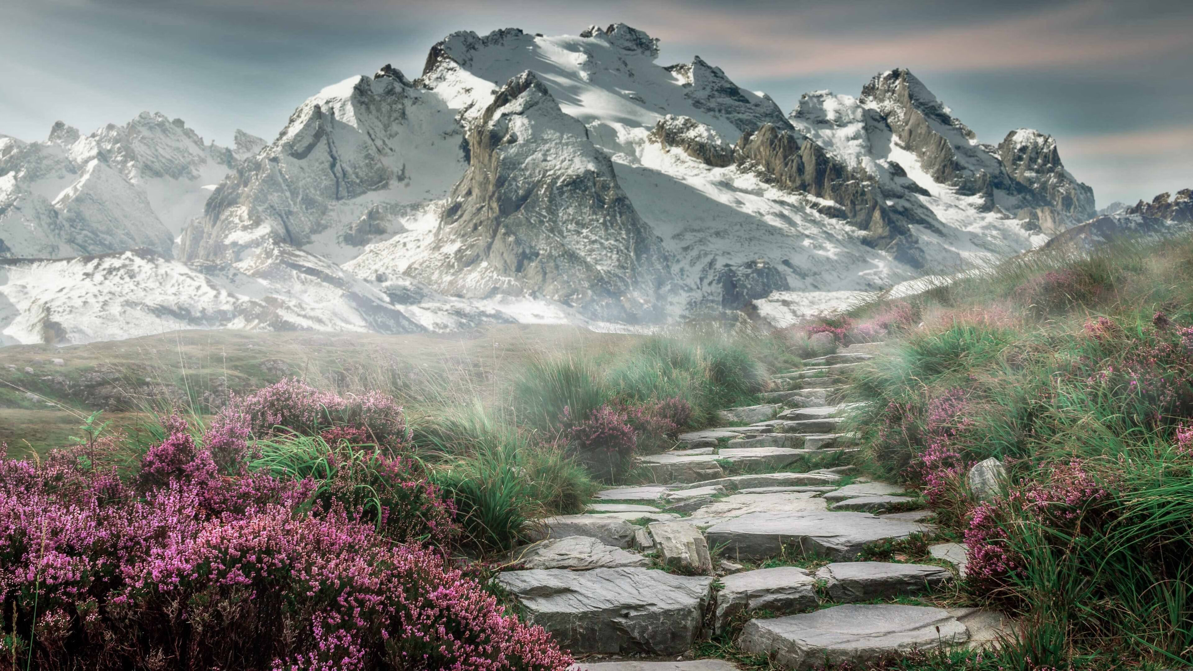 APP下载 LY Sports-“自动化裁判带来的战术调整——不同规则下球队的应变策略”