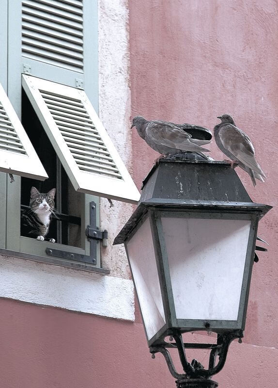 孙铭徽带伤坚守赛场,展现运动精神,孙铭徽集锦视频