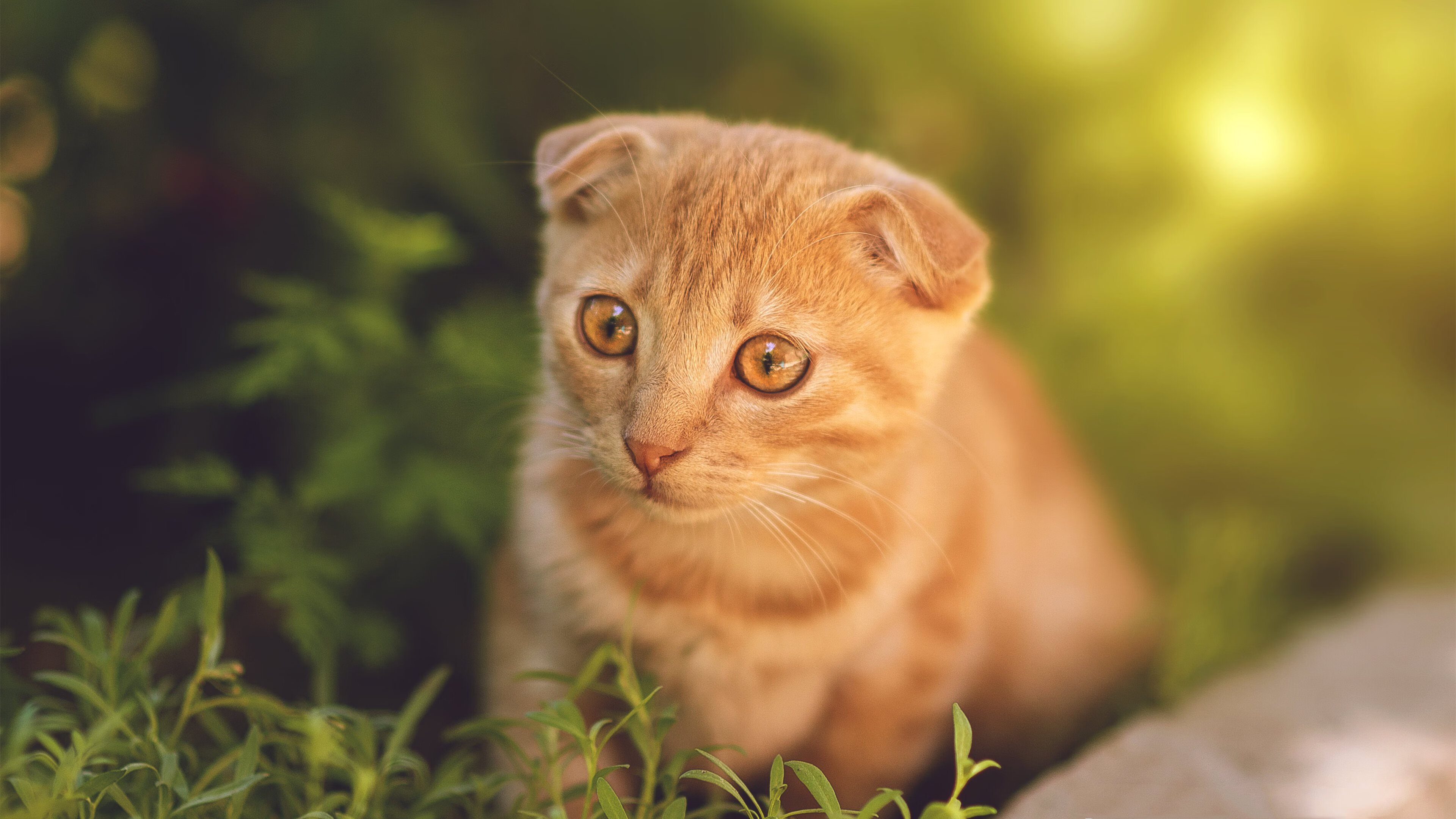 乐鱼体育-特色足球旅游资源深度融合，带动区域经济高速增长，足球特色园