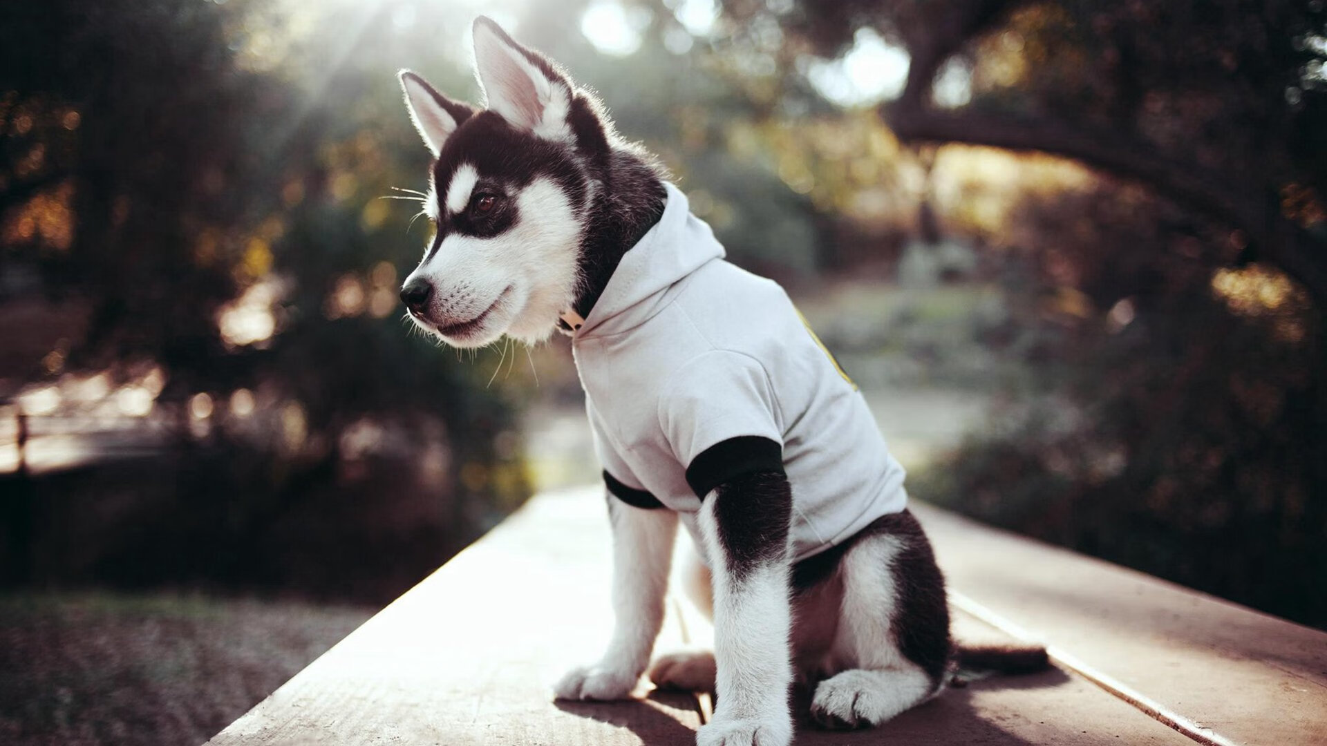 下载乐鱼体育APP-特色足球赛事“创新模式”频出，激发青少年足球创新活力，校园足球创新赛制的运用与推广