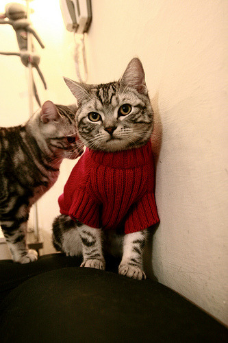 特色足球赛事“创新模式”频出,激发青少年足球创新活力,校园足球创新赛制的运用与推广