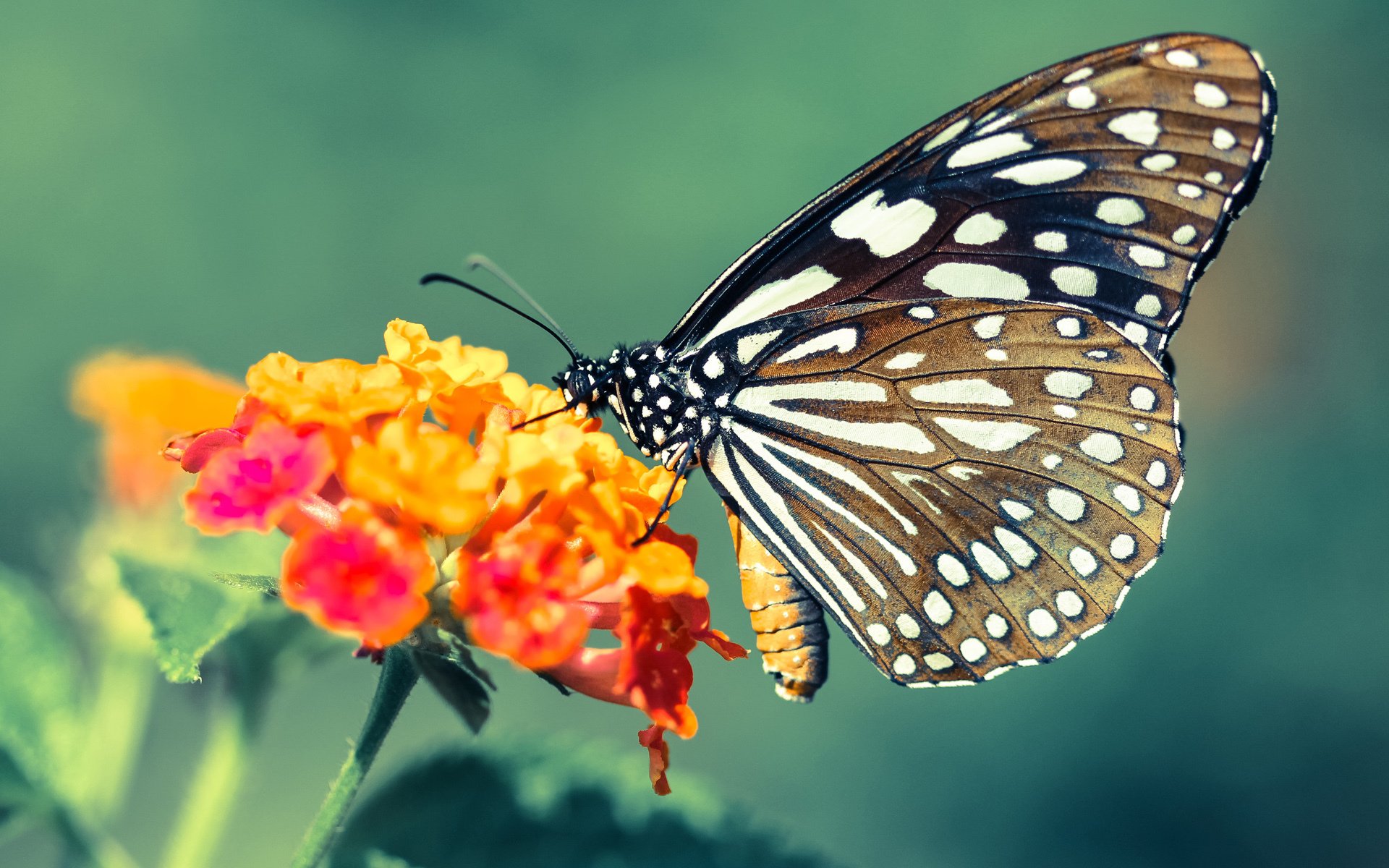 APP下载 LY Sports-特色足球运动载体“创新空间”在全国百余座城市布局完善，足球创新设计