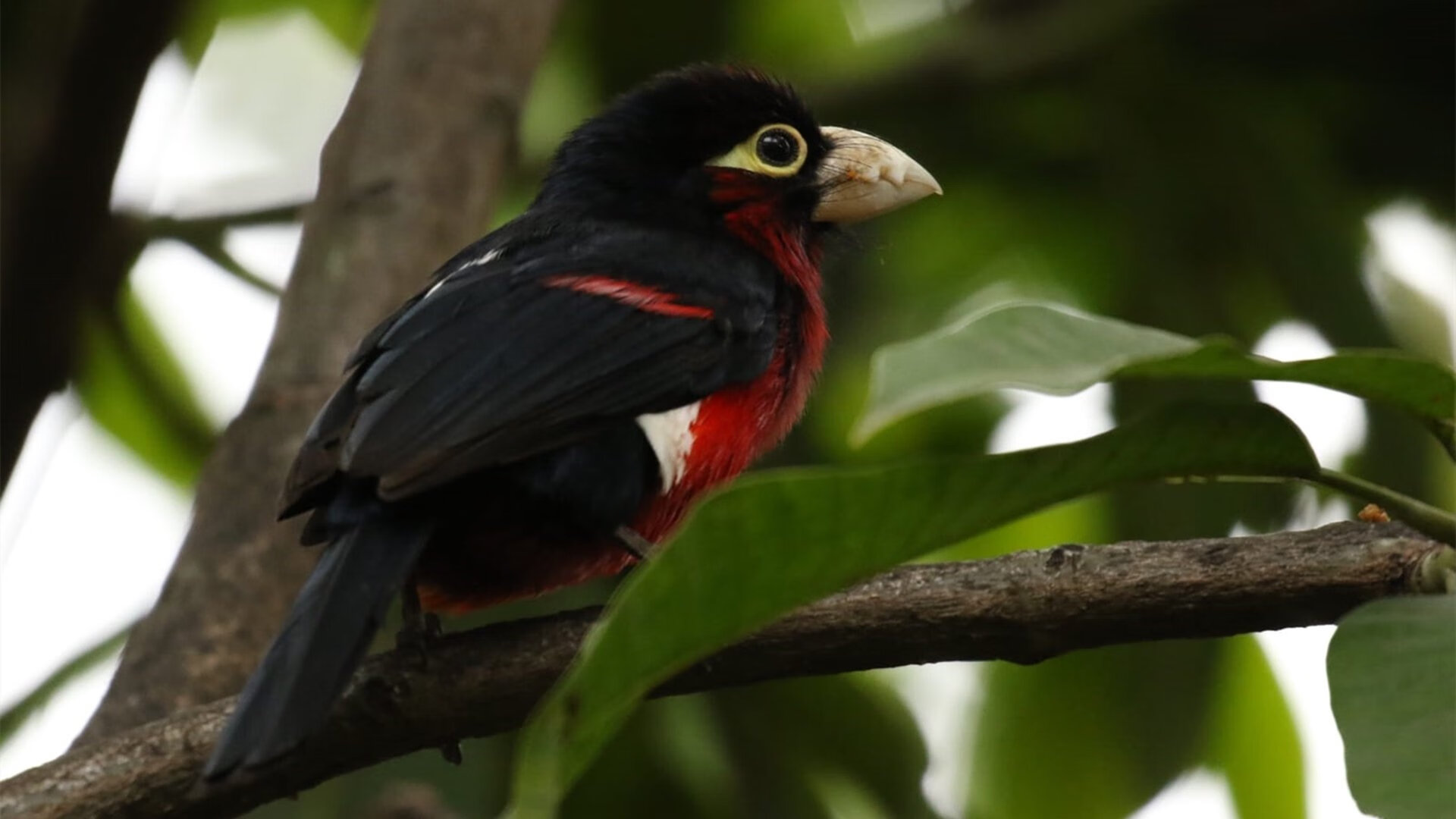 特色足球运动载体“创新空间”在全国百余座城市布局完善,足球创新设计