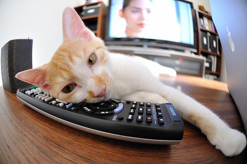 特色运动用品不断创新,激发青少年篮球活力,青少年篮球训练器材