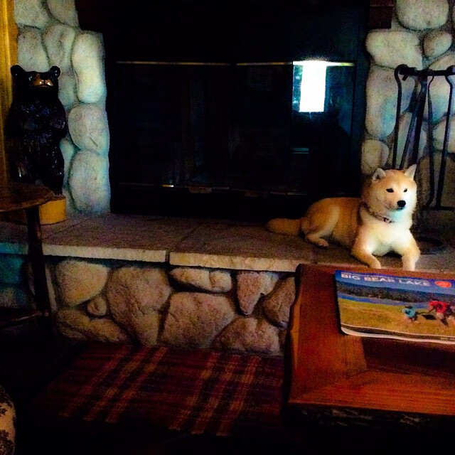 福建队新主场启用,球迷欢聚一堂迎盛事,福建篮球队主场