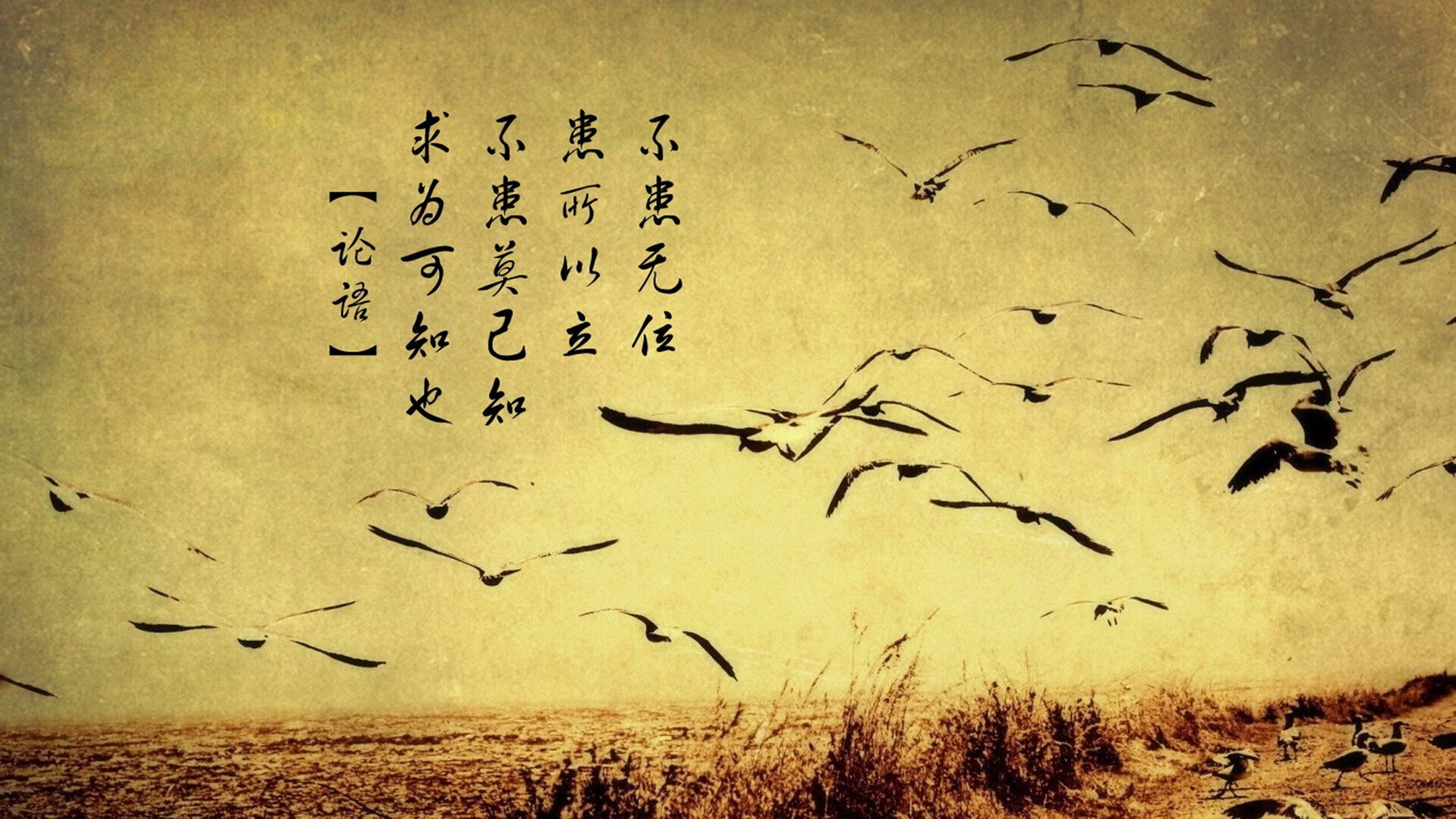 乐鱼体育App下载-西甲球队推出新赛制，提升比赛观赏性，西甲赛制规则