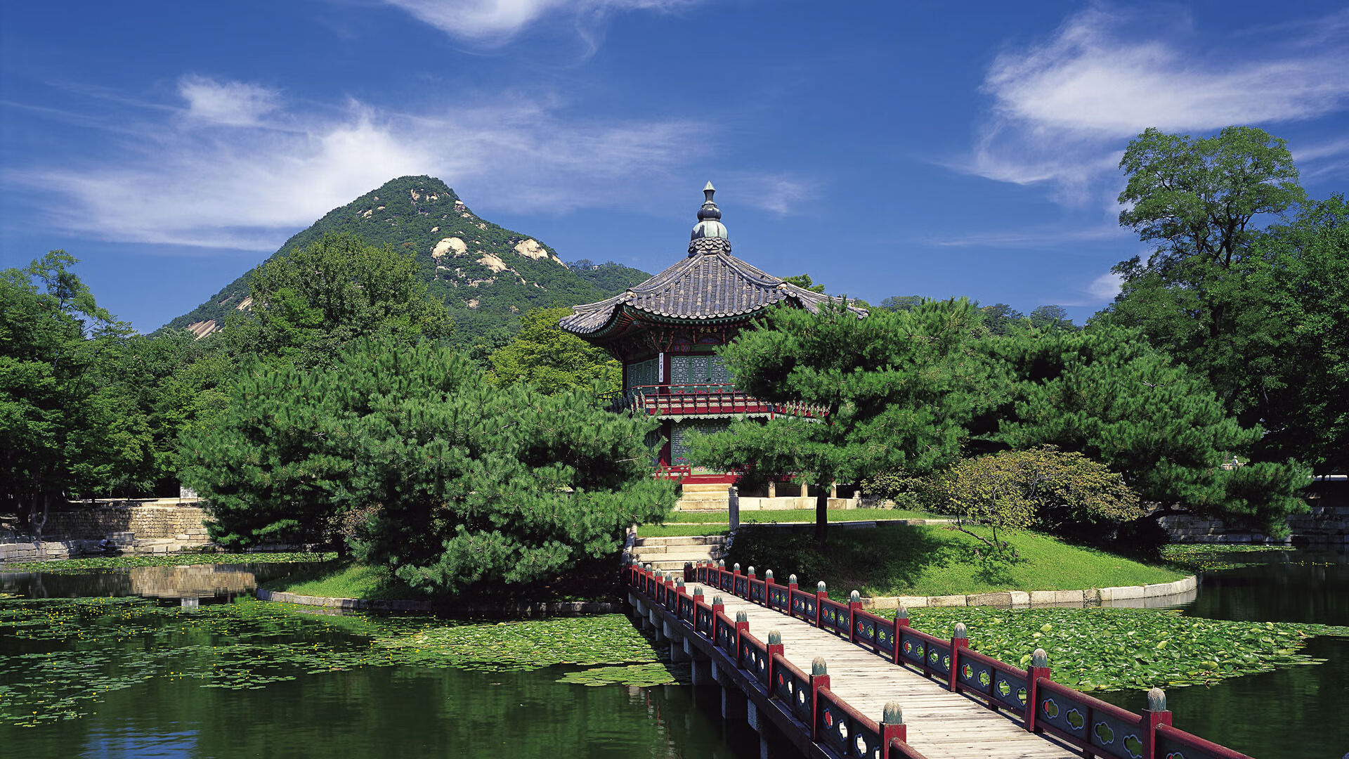 世界杯预选赛中国队客场挑战叙利亚,世界杯预选赛中国队对战叙利亚