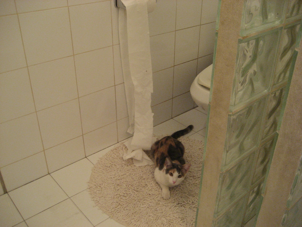 乐鱼官方登录入口-世界杯预选赛开打，C罗帽子戏法助葡萄牙狂胜对手，葡萄牙世界杯c罗进球视频