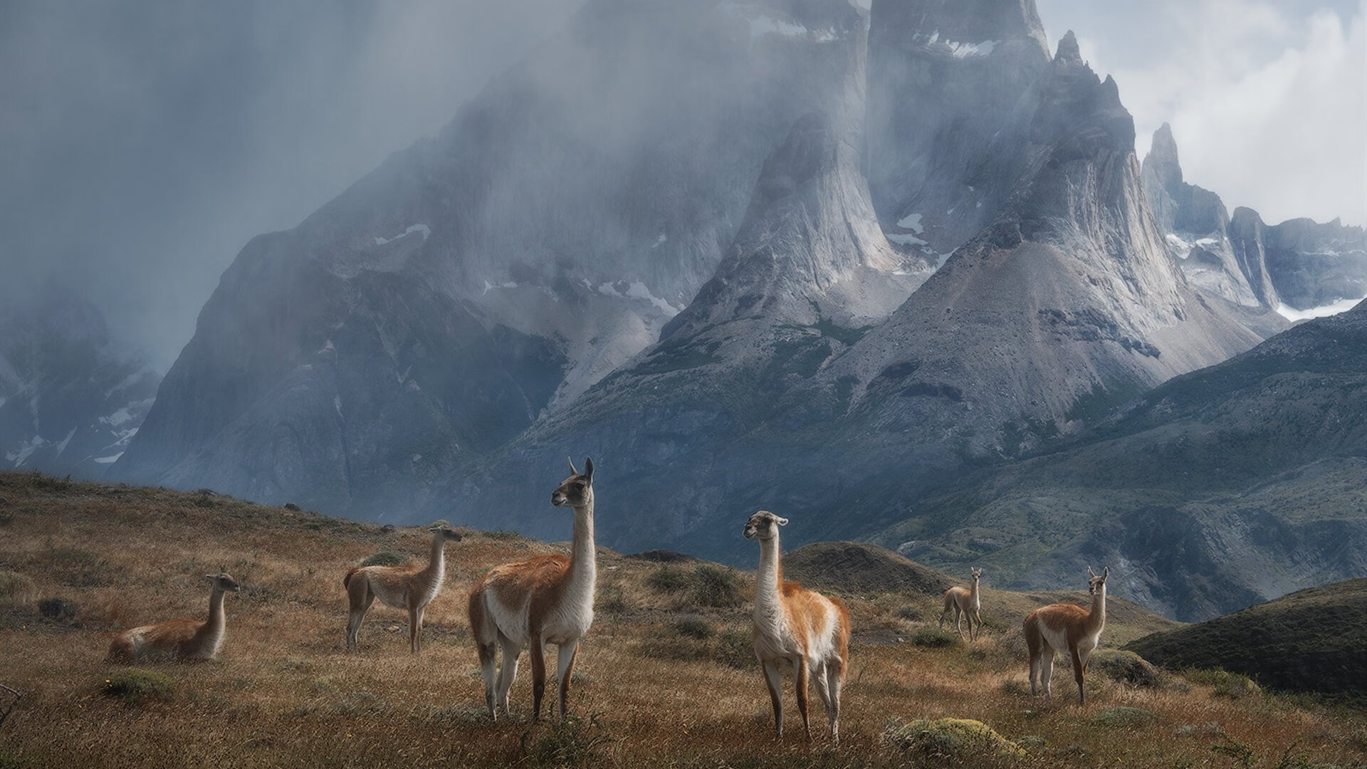 世界杯预选赛开赛,意大利男篮以小组第一出线,意大利男篮世界杯大名单