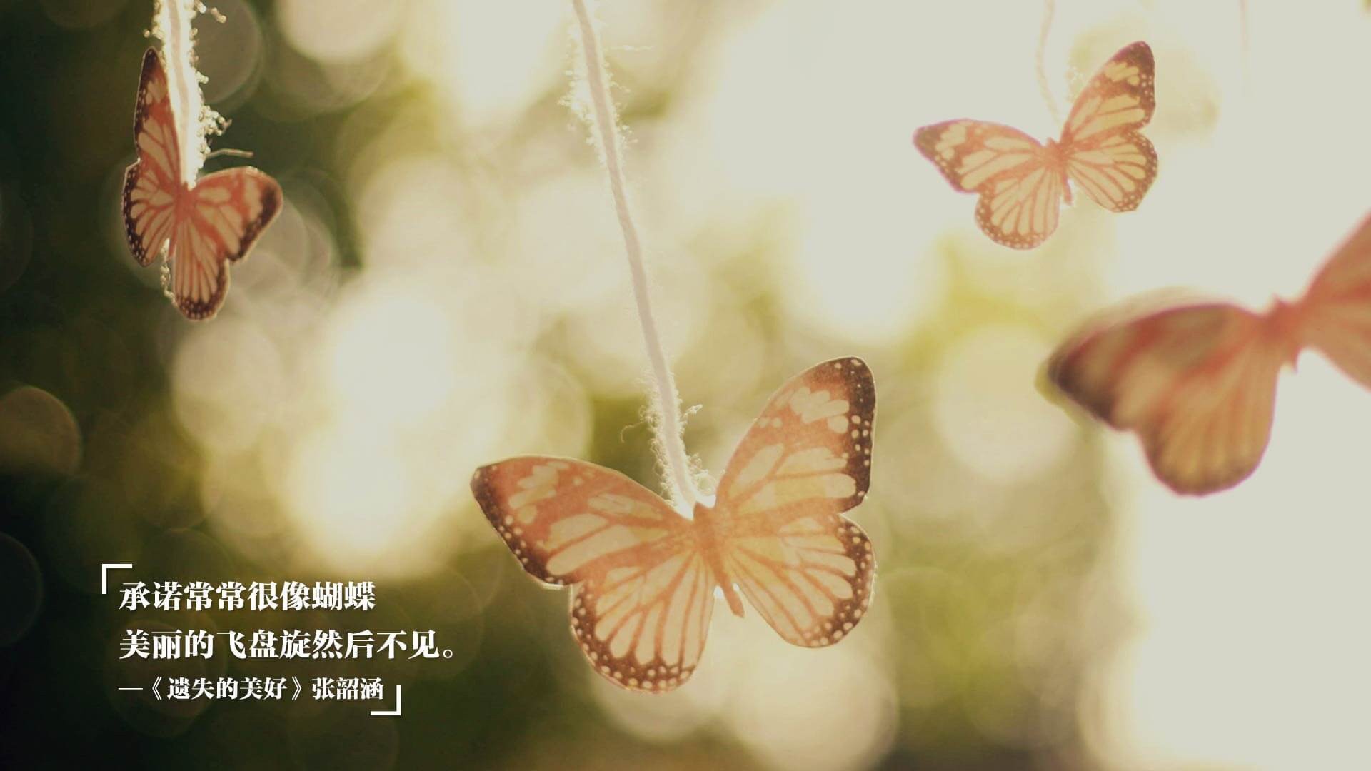 大连一方主场击败昆明奔驰,全取三分,大连队比赛直播