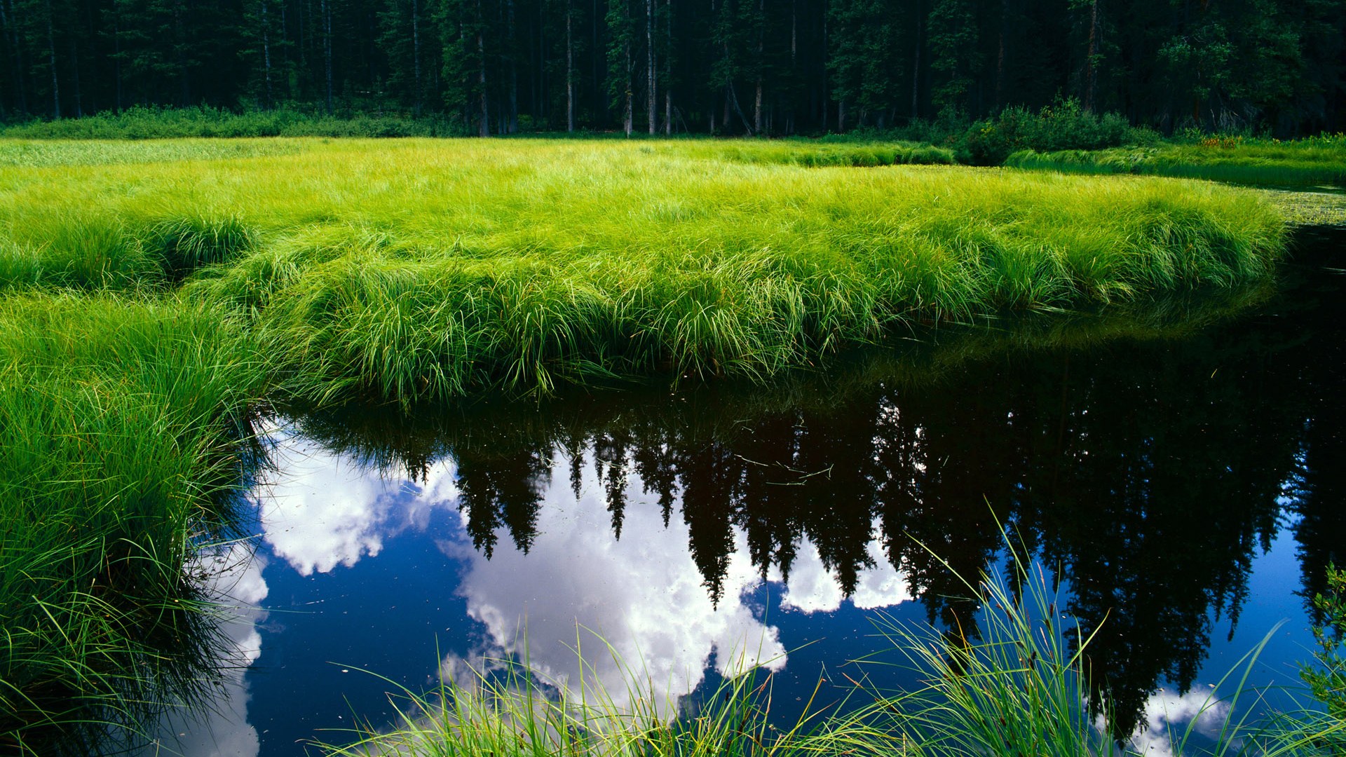 Leyu Sports (乐鱼体育)-瑞士客战保加利亚 青春新帅铁榔头将领军欧预赛，2021年3月26日 欧洲预选 保加利亚vs瑞士直播