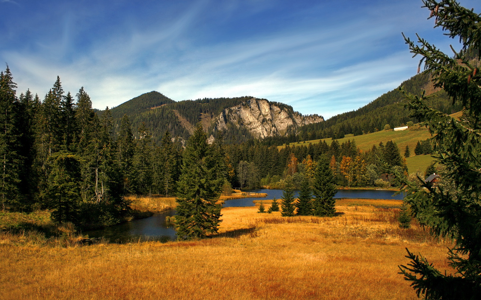 美国队中场罗德里格斯在巴黎奥运会上展现出强大的组织能力,罗德里格斯足球运动员