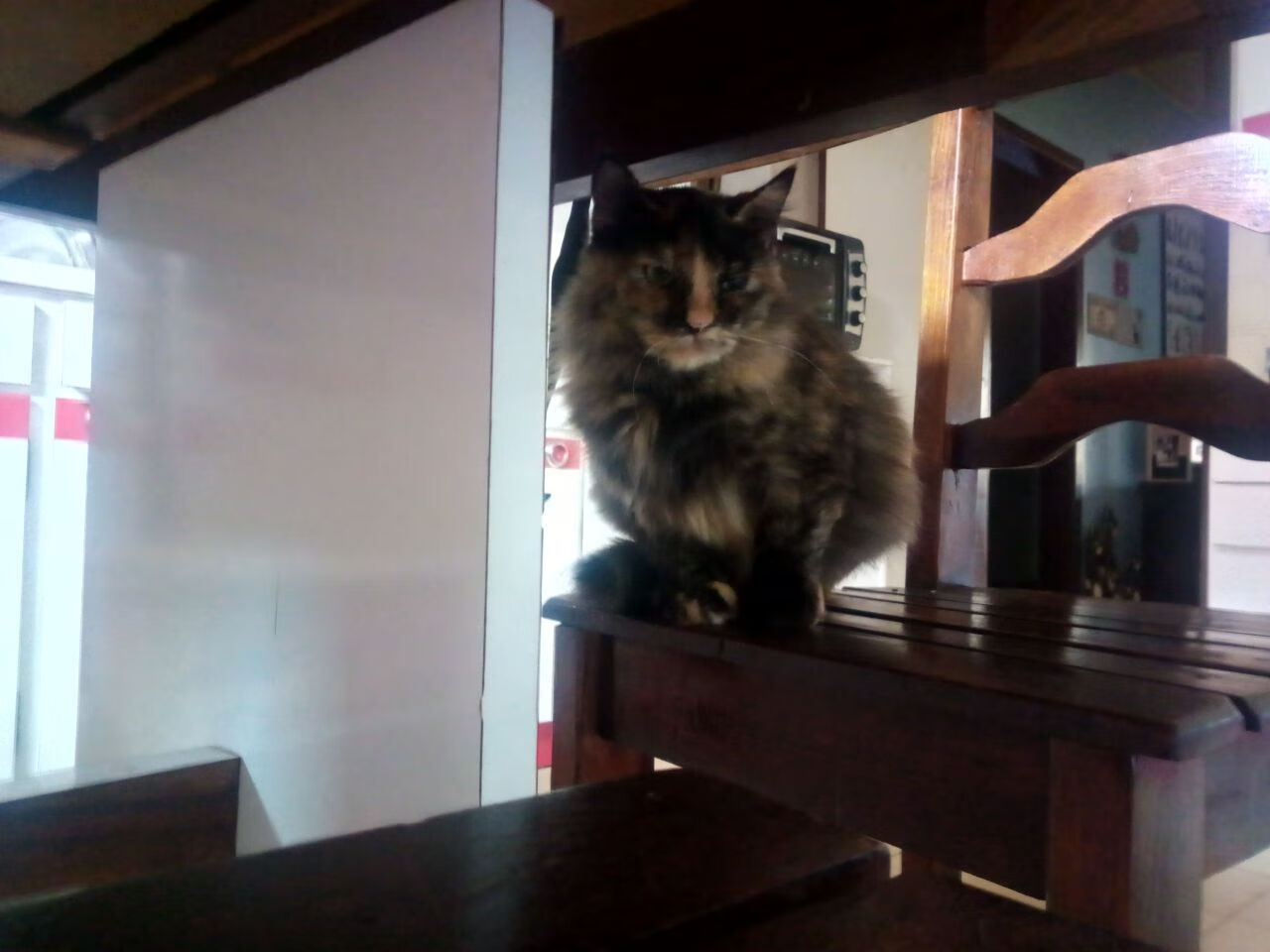 乐鱼体育App下载-葡萄牙国家队备战世界杯，抢夺冠军，葡萄牙参加世界杯