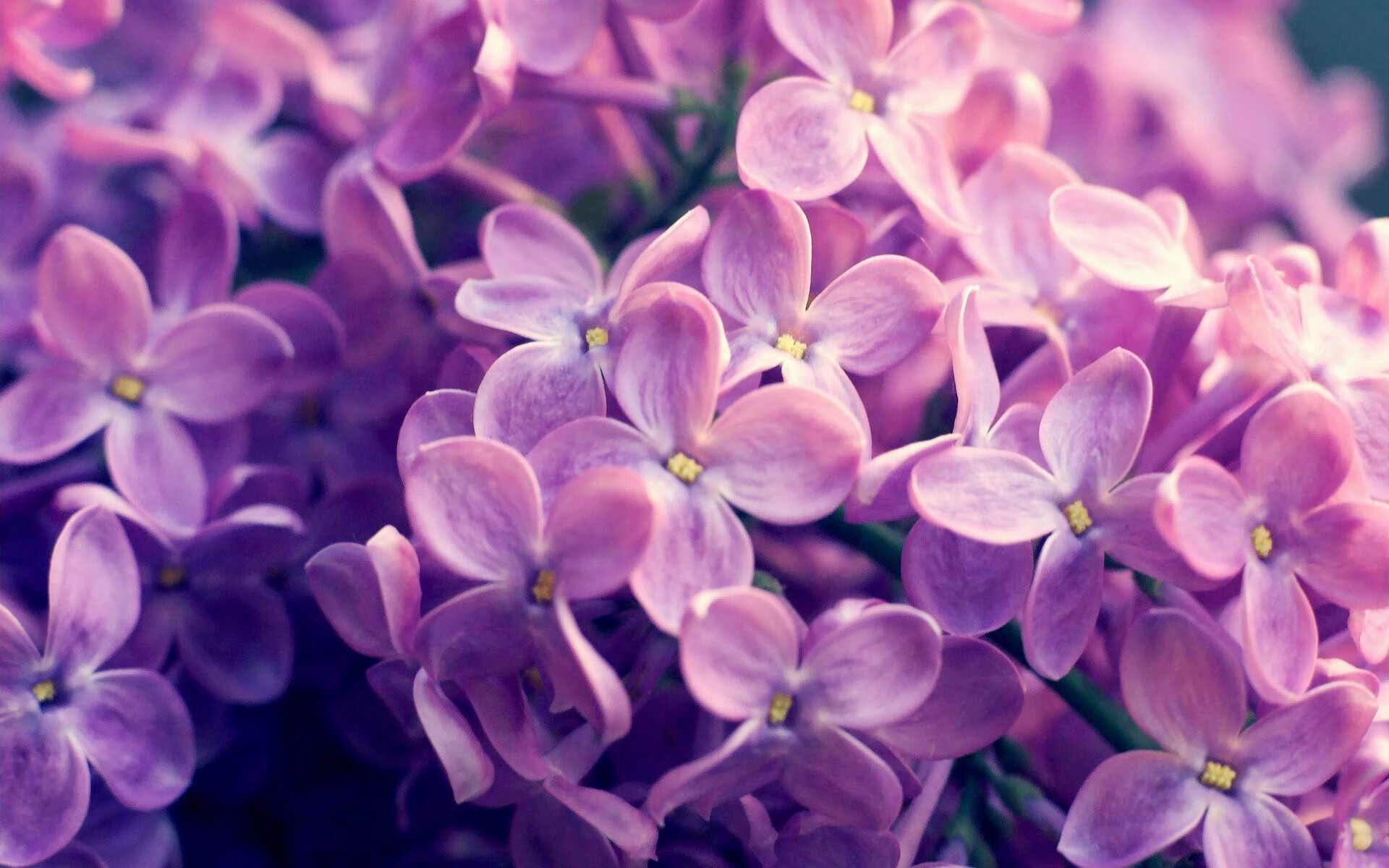 乐鱼电竞在线平台登录入口-青少年篮球体能训练计划，青少年篮球体能训练计划表