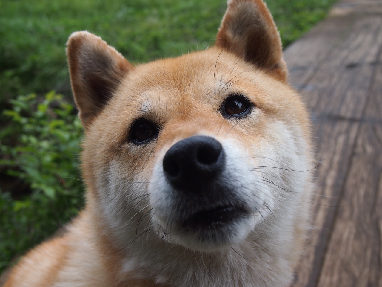 青少年篮球体能训练计划,青少年篮球体能训练计划表