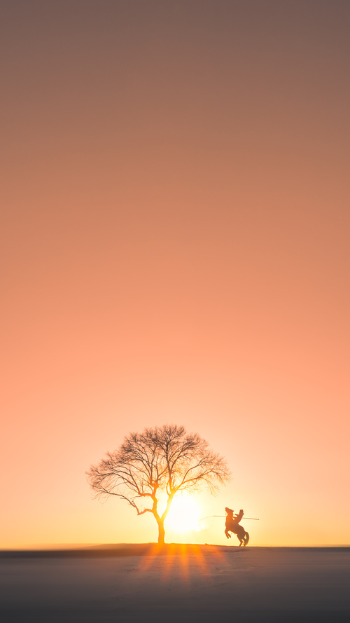 NBA联盟全球粉丝互动平台创新与实践,nba球队粉丝数量排行榜