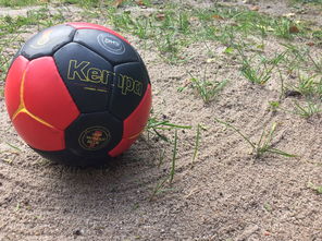 乐鱼app-世界青年手球锦标赛中国队勇夺三连胜，世界手球锦标赛几年一次