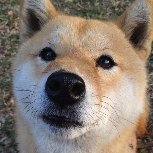 leyu乐鱼官网登录入口-全国青少年篮球对抗赛激烈开打，青春无畏，全国青少年校园篮球