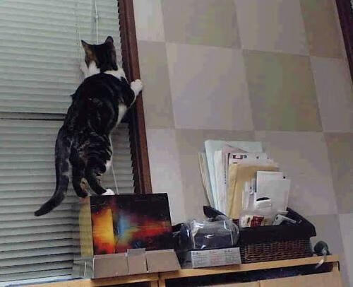 Leyu Sport下载-国家队内部岗位分工缺乏效率评估体系