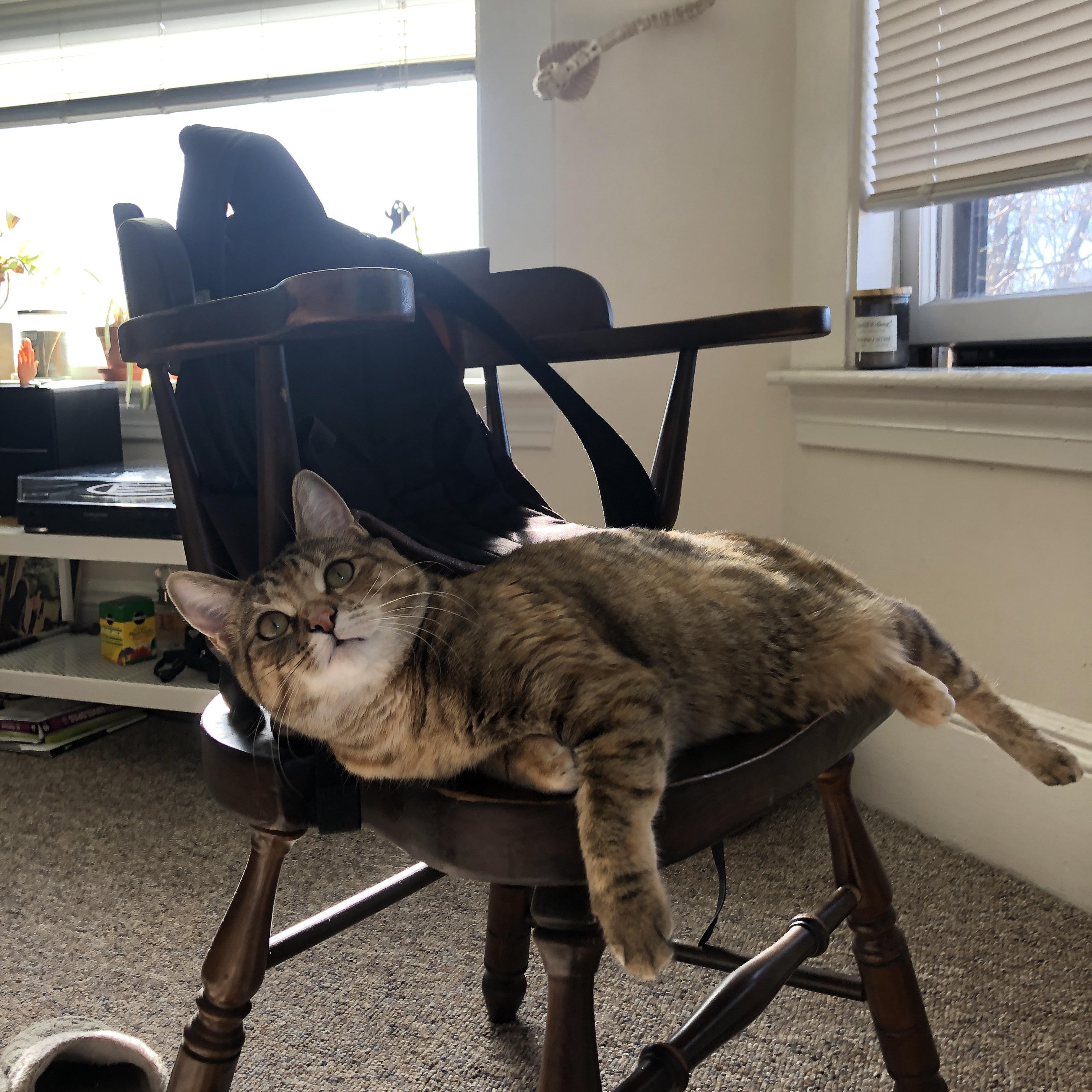 乐鱼（中国）体育官方网站-攀岩运动项目受青少年喜爱，攀岩运动项目受青少年喜爱吗