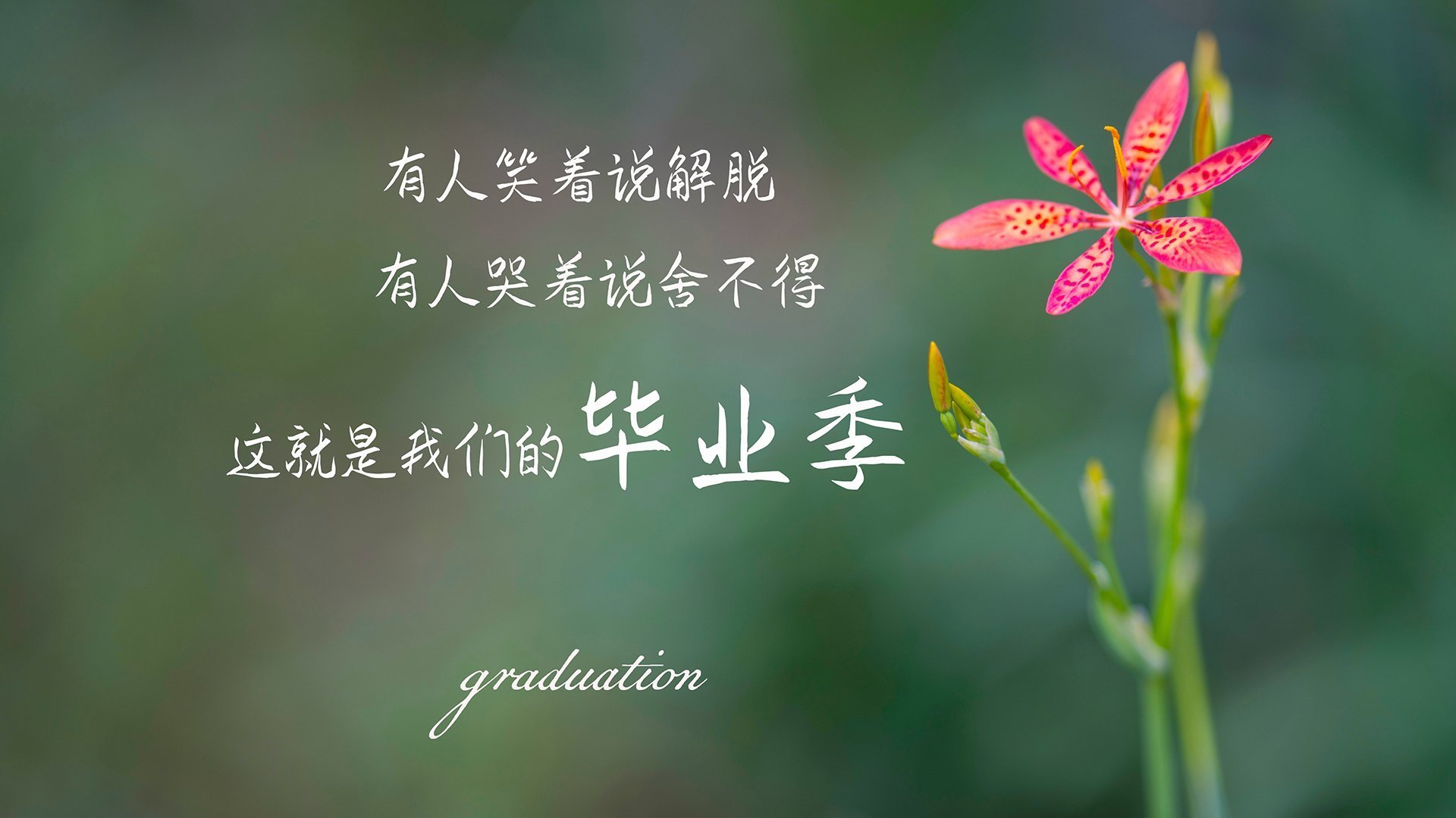 Leyu Sport下载-新赛季战术调整频繁，新赛季战法需要重新演练么