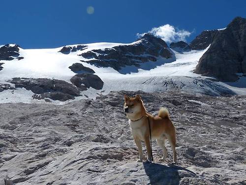 leyu乐鱼体育综合-克洛普带领利物浦奋勇争先，梦想欧冠荣耀