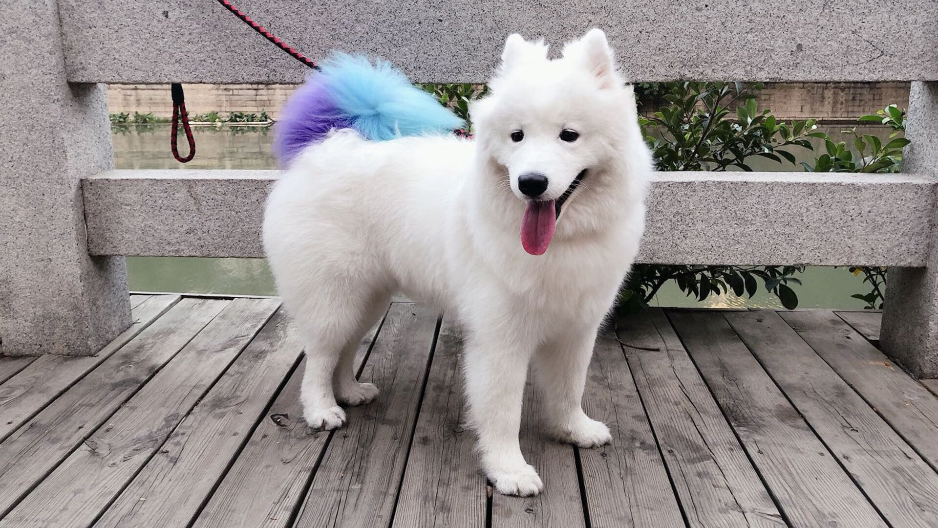 Leyu Sport下载-国家篮球训练基地扩建计划启动打造亚洲一流专业设施，国家篮球训练基地在哪