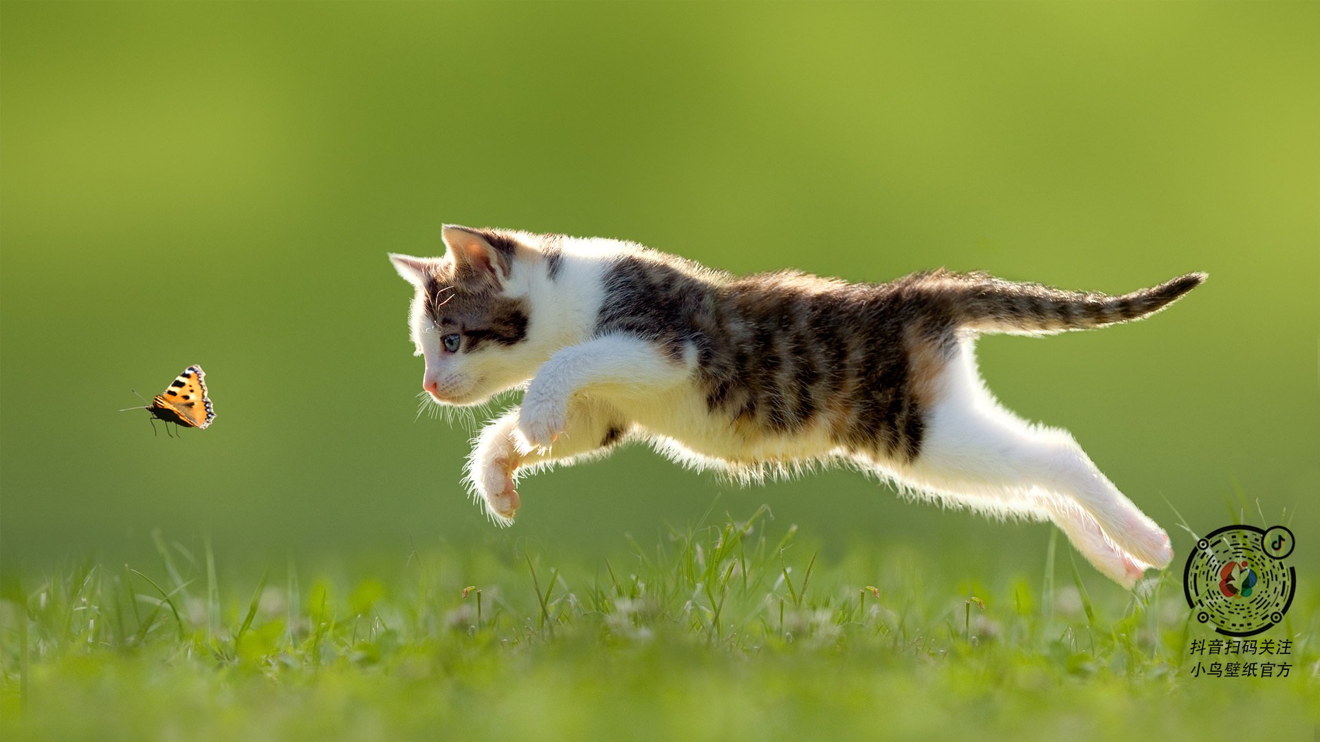 leyu乐鱼官网登录入口-德甲极速突破：秒秒钟的闪电反击！，德甲打法