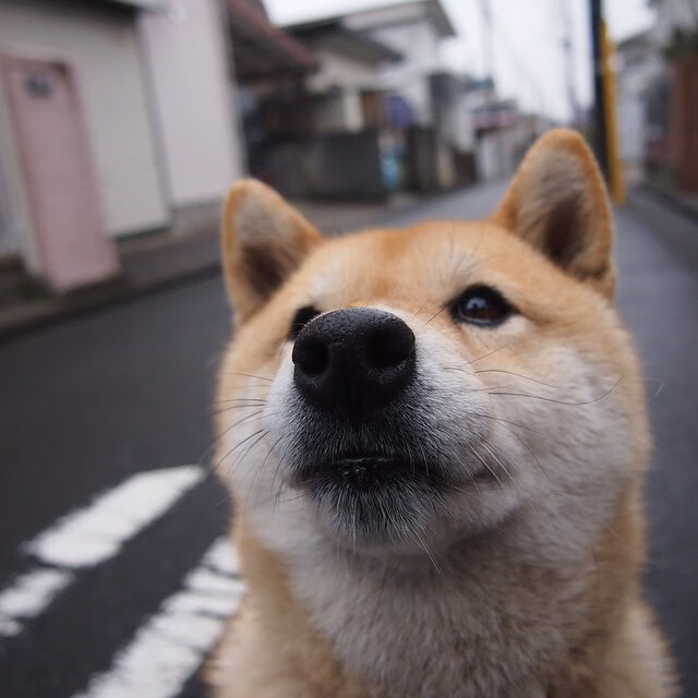 球员伤后坚持出战赢得观众尊重展现职业精神,球员受伤了还有工资吗