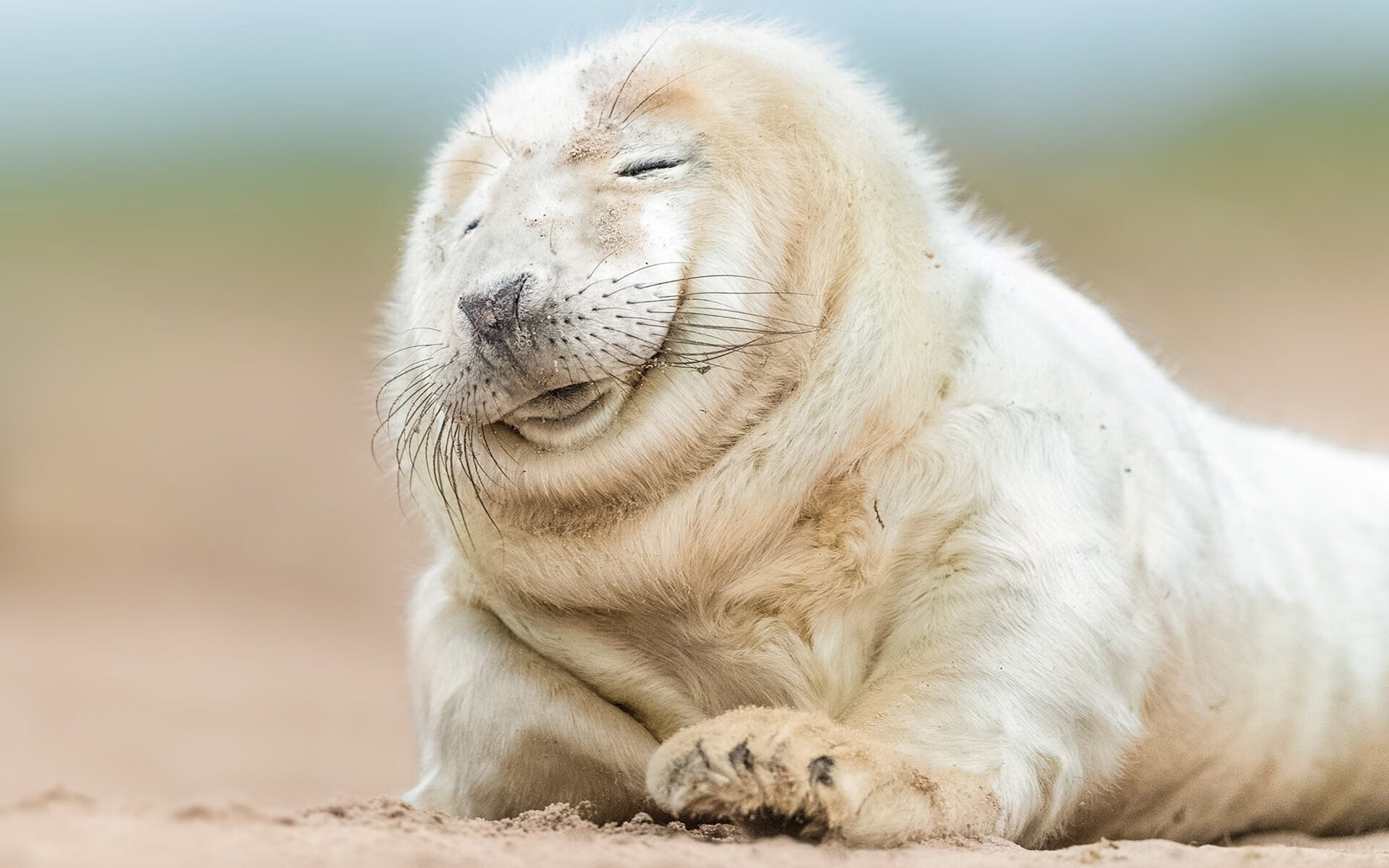 荷兰队战术创新,迎接即将到来的国际比赛